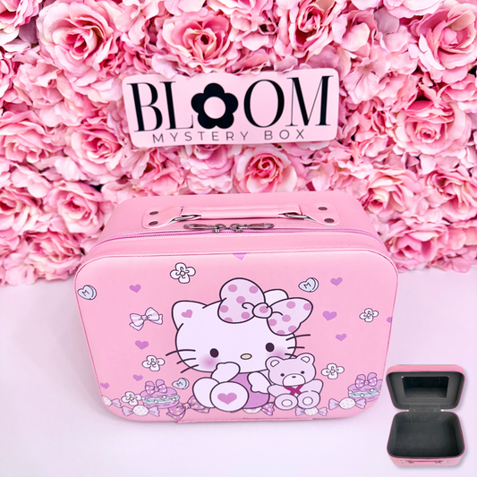 Cute  Mystery Suitcase