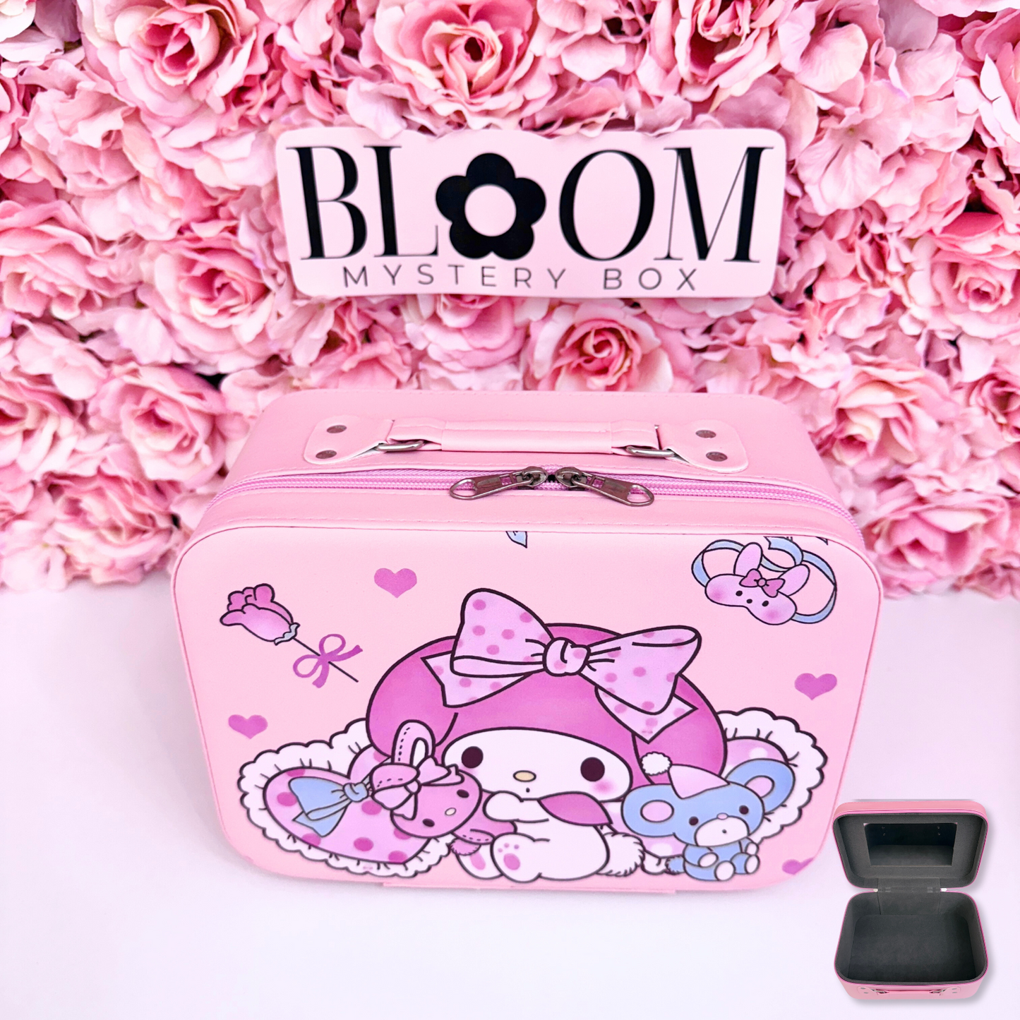 Cute  Mystery Suitcase
