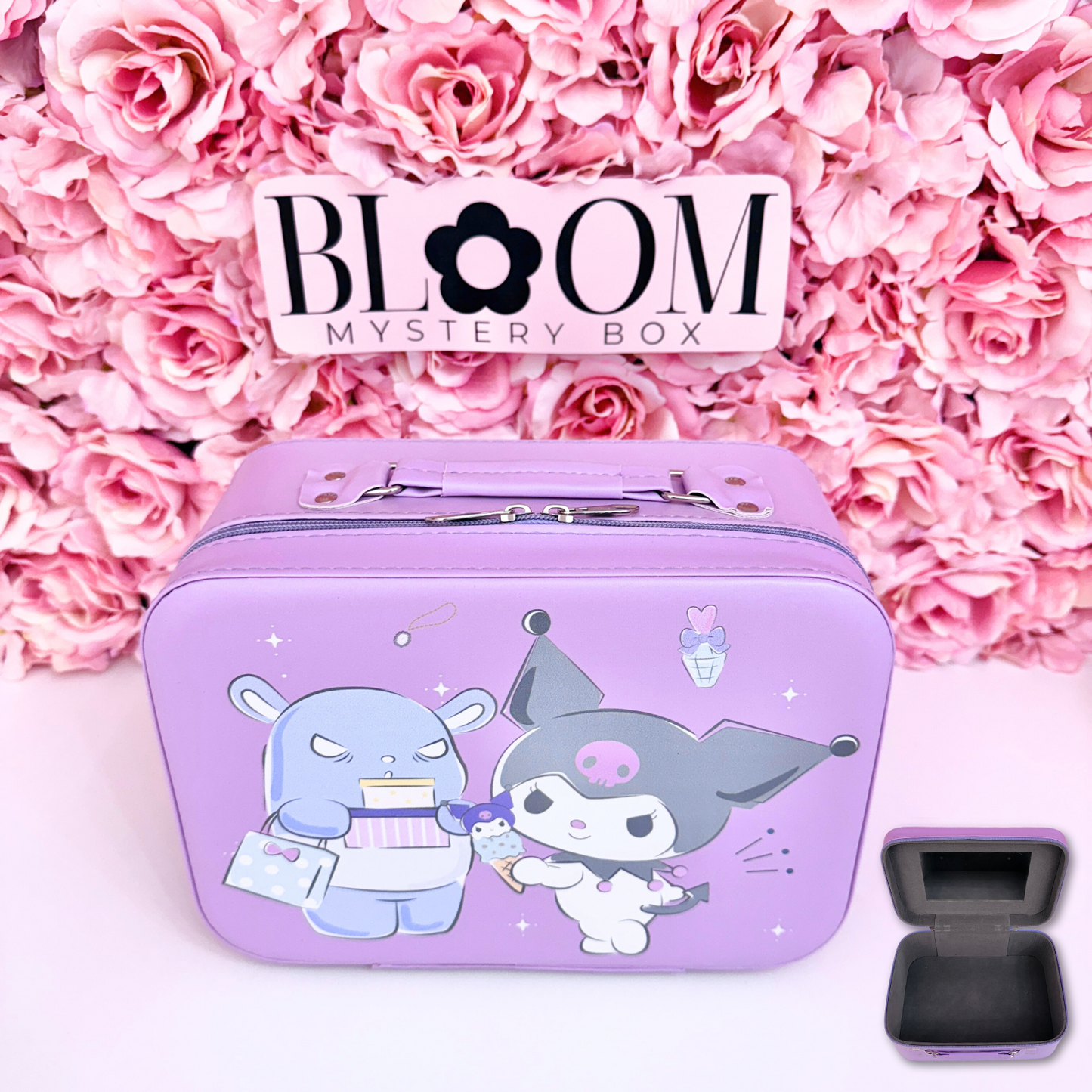 Cute  Mystery Suitcase