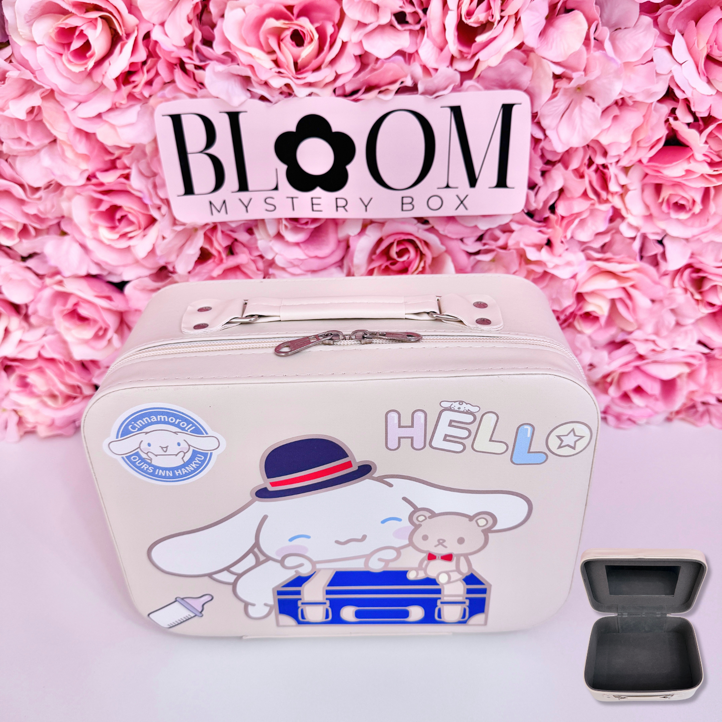 Cute  Mystery Suitcase