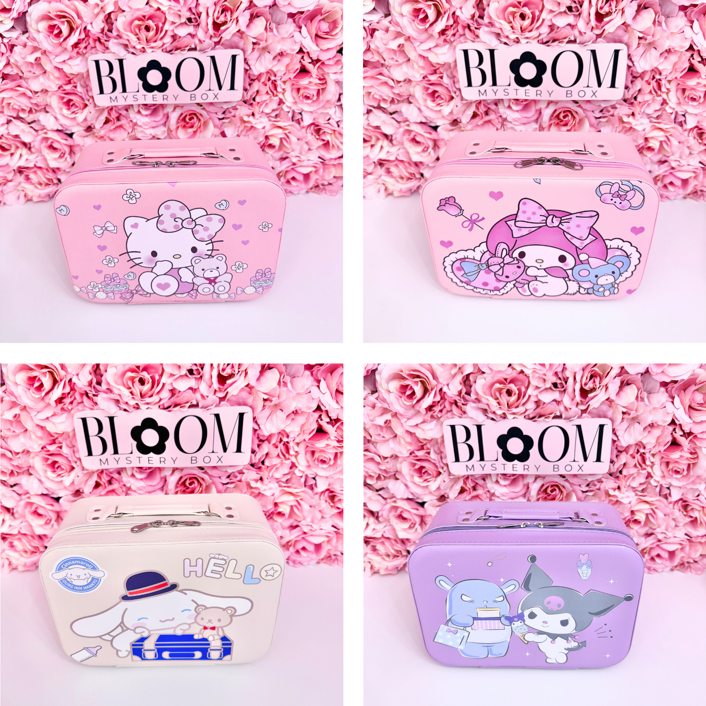 Cute  Mystery Suitcase