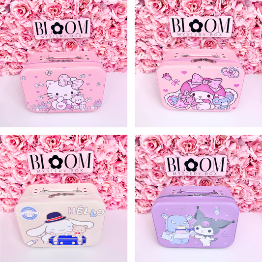 Cute  Mystery Suitcase
