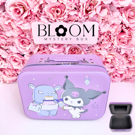 Cute  Mystery Suitcase