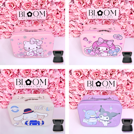 Cute  Mystery Suitcase